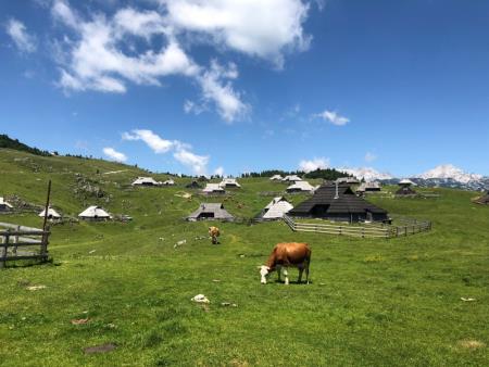 Plačljivo parkiranje na Veliki planini od petka, 17. julija 2020 dalje, z namenom ohranjanja, razvoja in spodbujanja turizma na Veliki planini 5